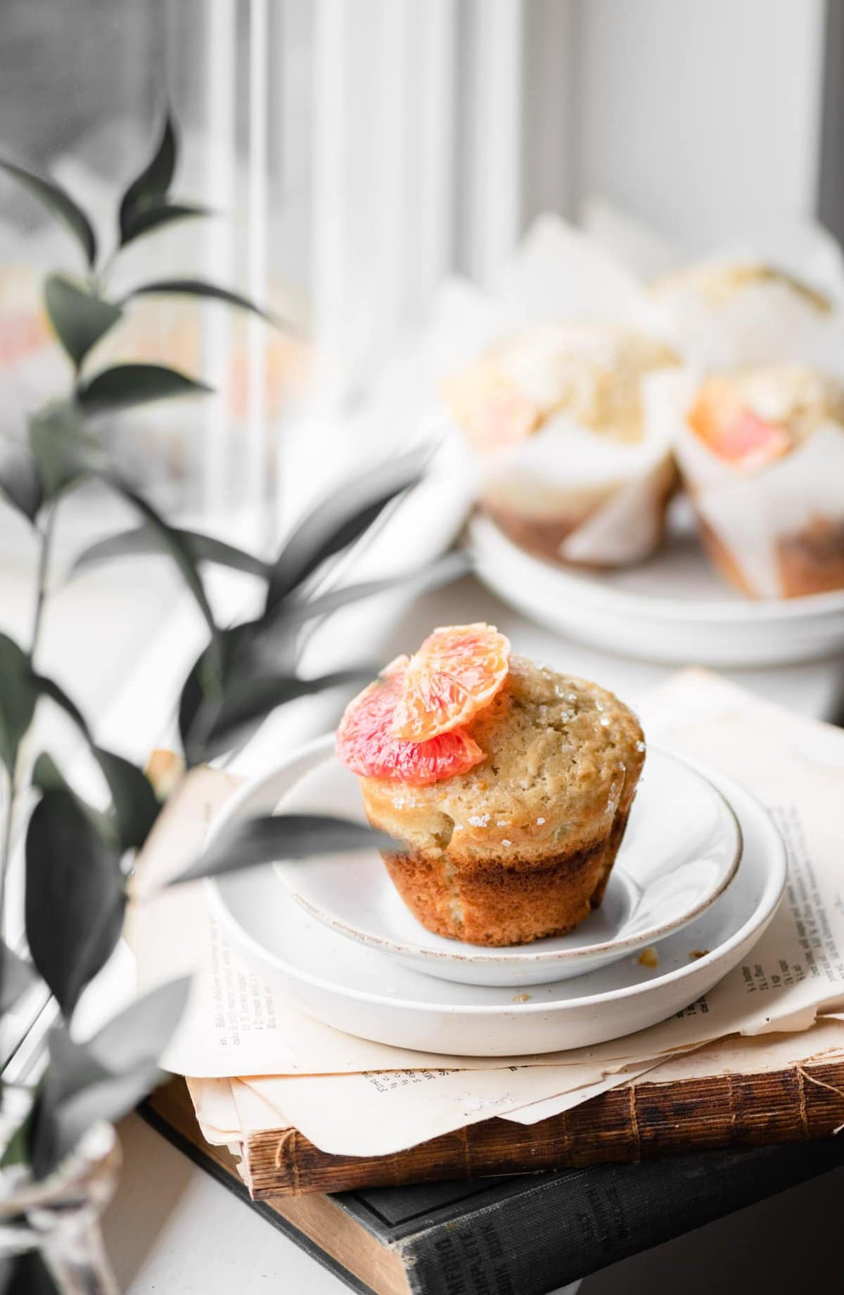 Orange Coconut Muffins Two Cups Flour