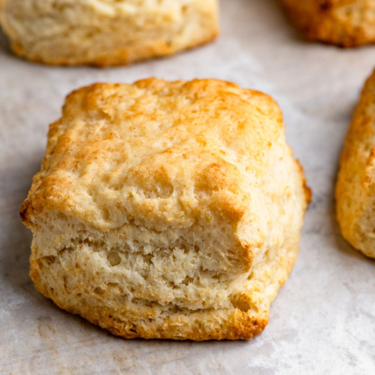 Freshly baked buttermilk biscuits on a parchment paper lined baking sheet.