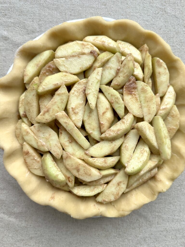 Apple slices inside an unbaked pie crust.