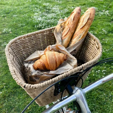 Basket of a bicycle filled with baguettes and croissants.