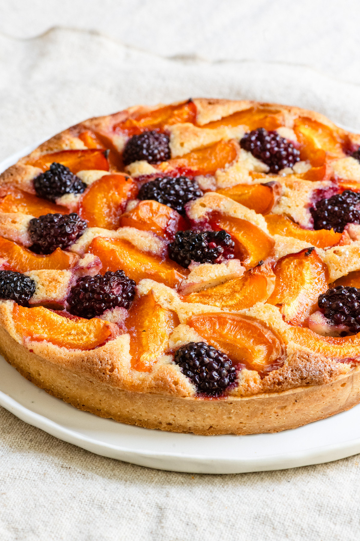 French Blackberry Apricot Tart
