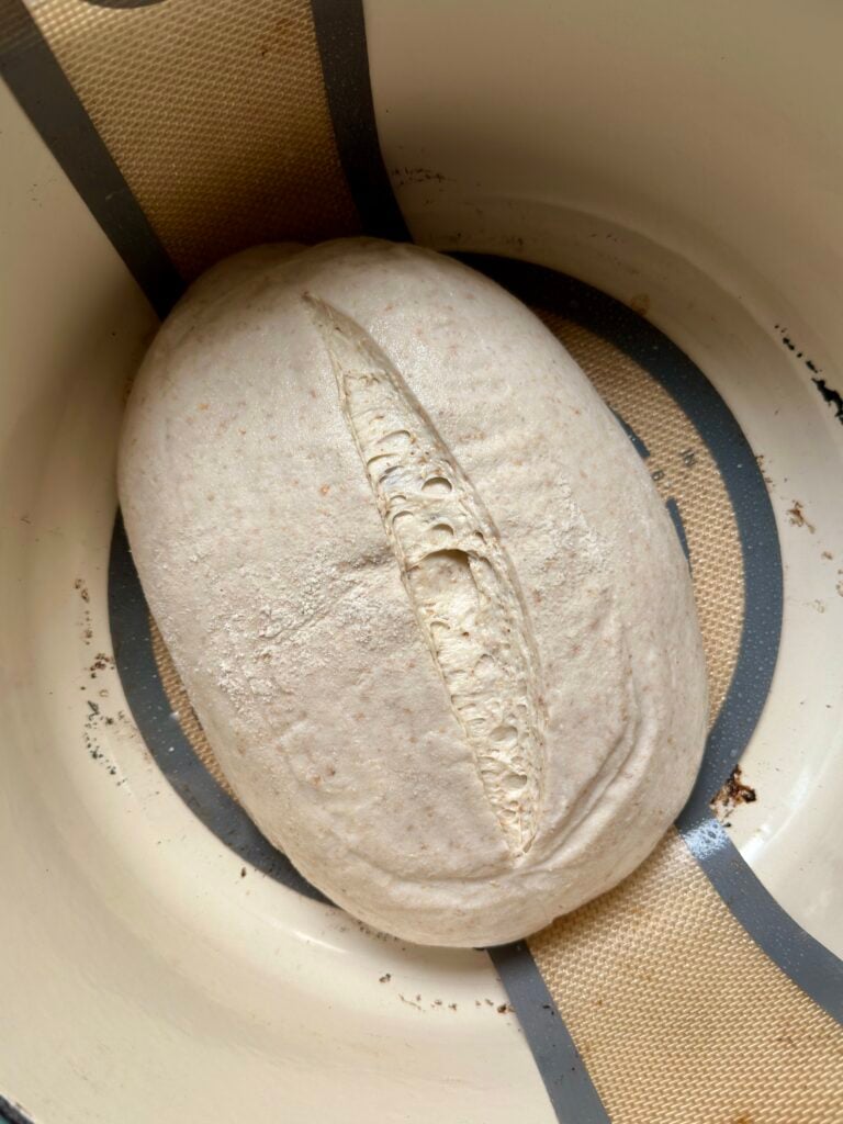 Scored unbaked loaf of sourdough inside a dutch oven.