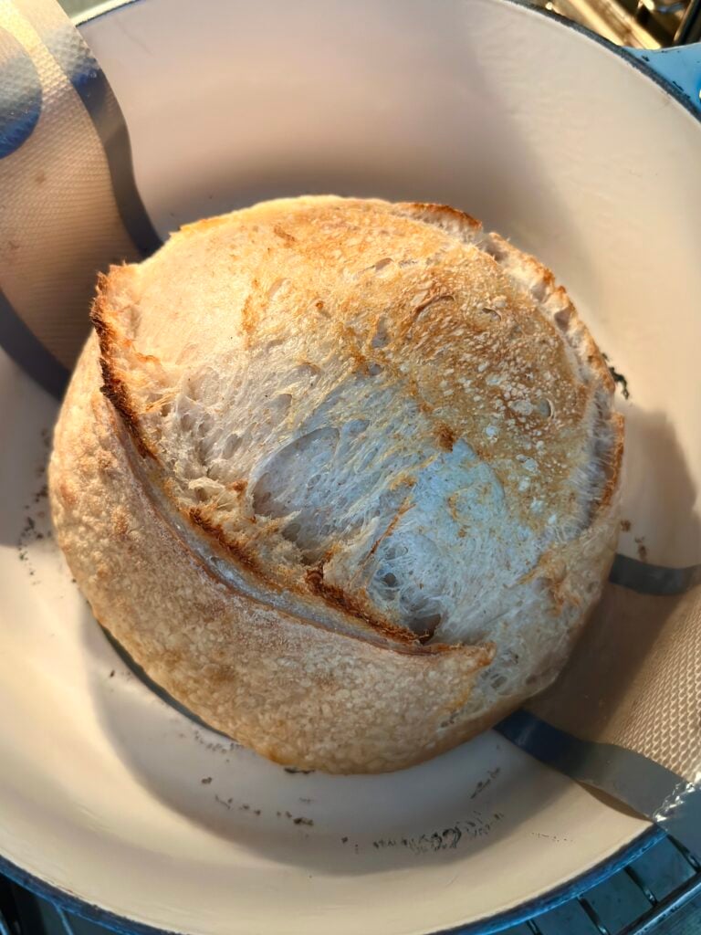 Partially baked loaf of sourdough in dutch oven.