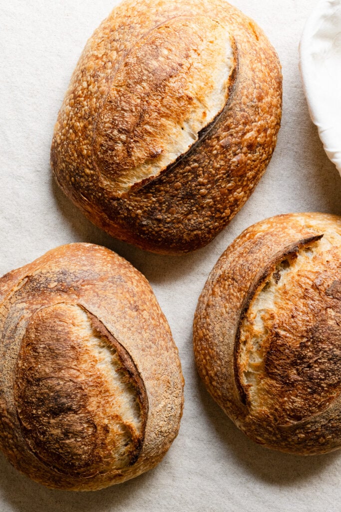 Overhead of three baked sourdough loaves on a linen covered table.