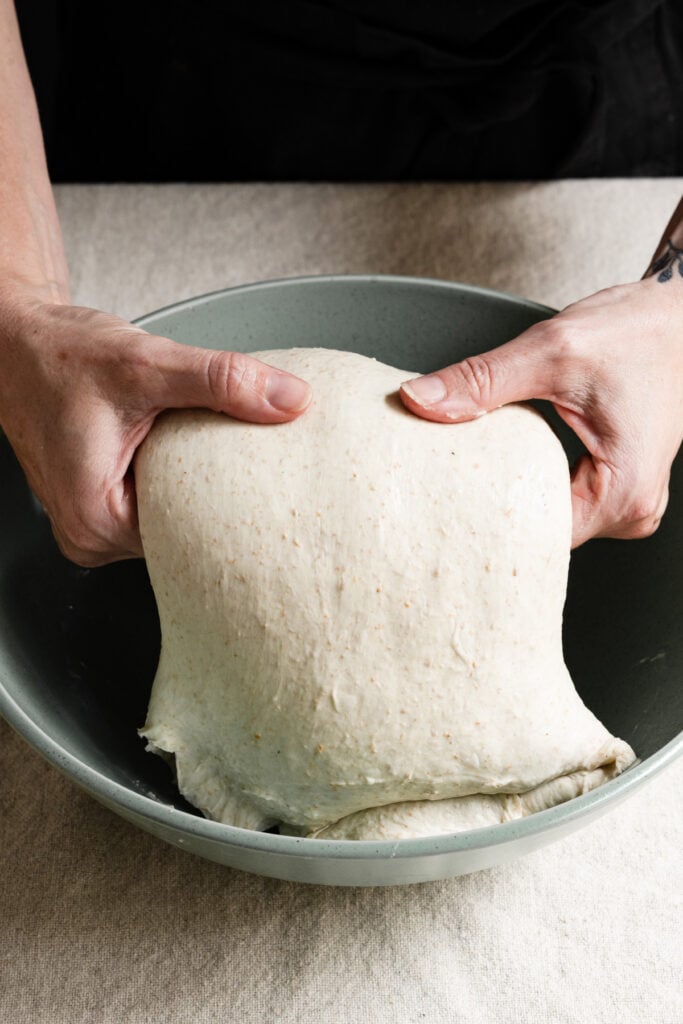 Two hands performing a coil fold on sourdough bread dough.