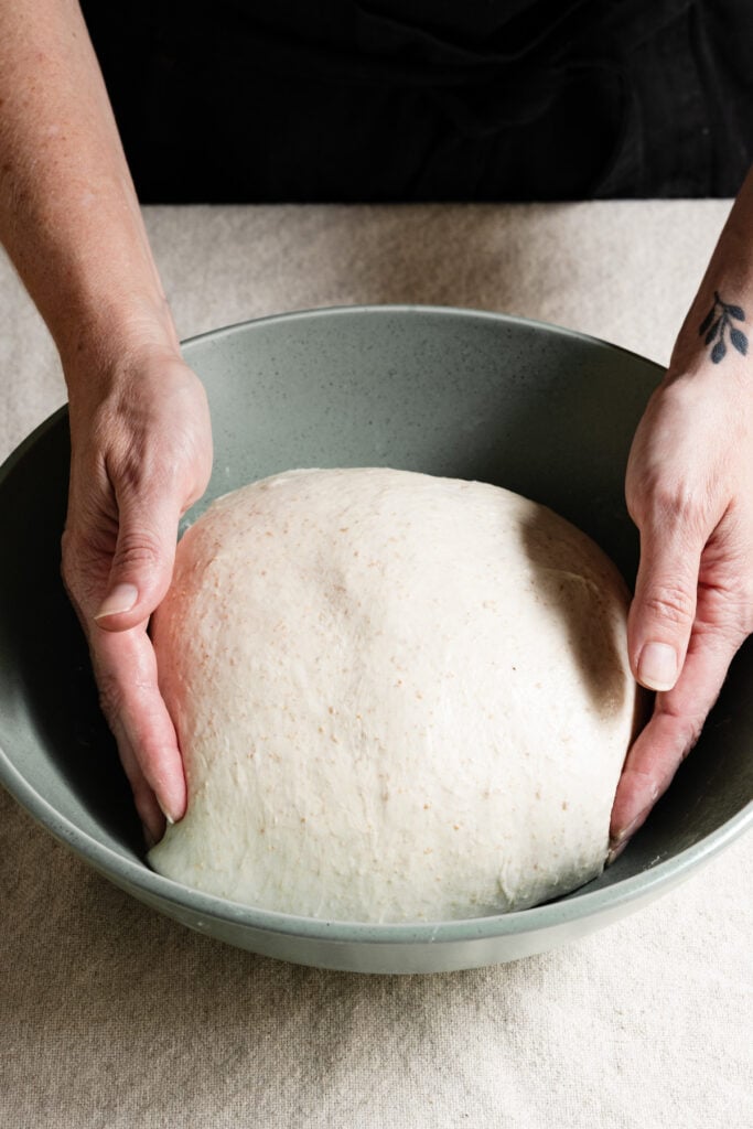 Sourdough dough shaped into a ball inside a bowl.