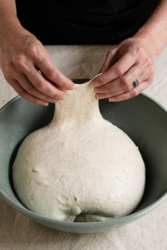 Two hands performing a windowpane test on sourdough bread dough.