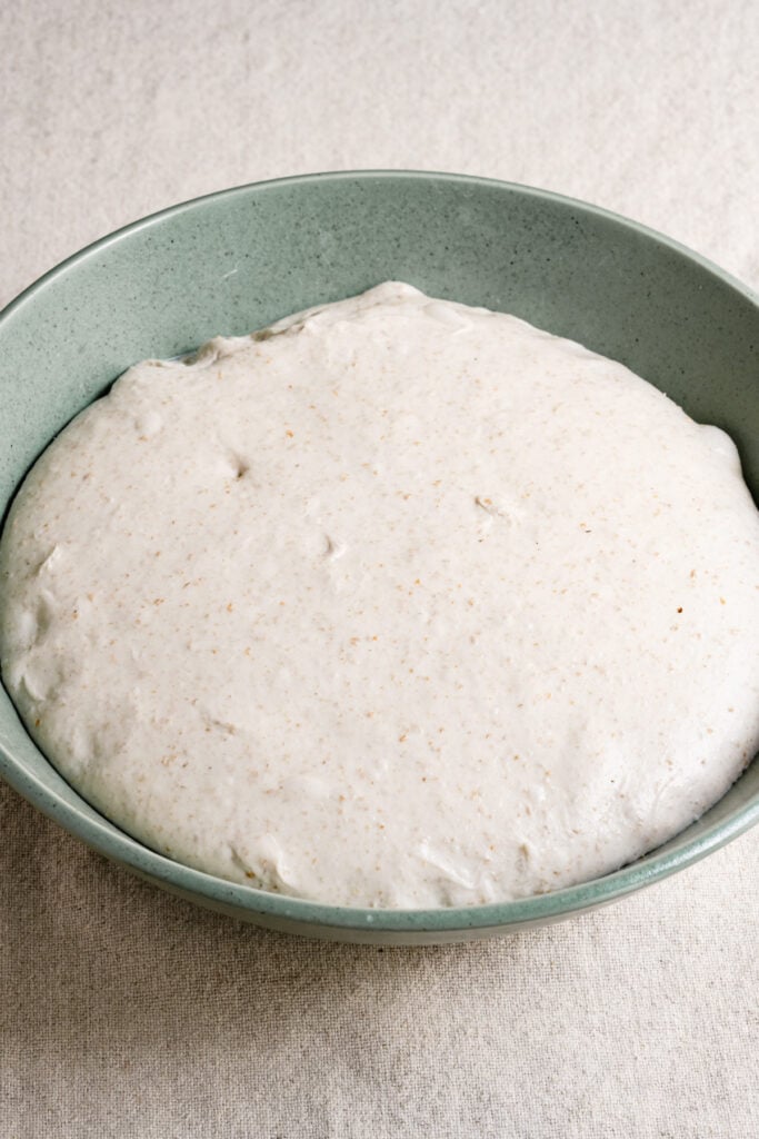 Fermented bread dough in a bowl.