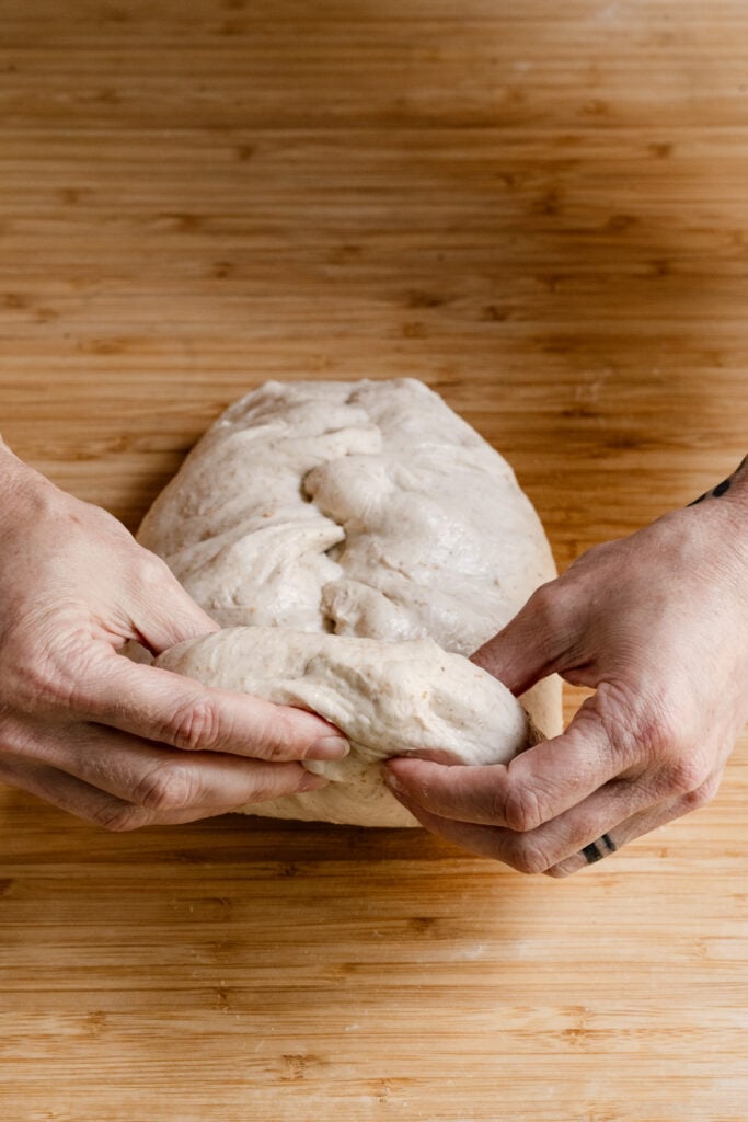 Hands shaping a load of sourdough bread.