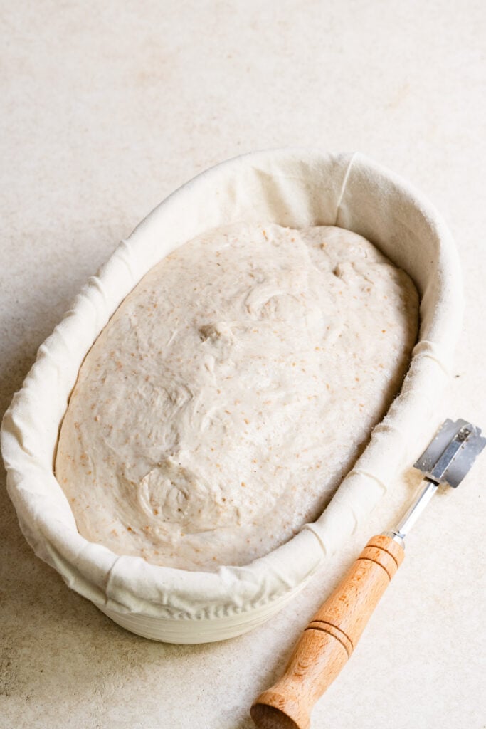 Unbaked sourdough loaf in a banneton next to a lame.