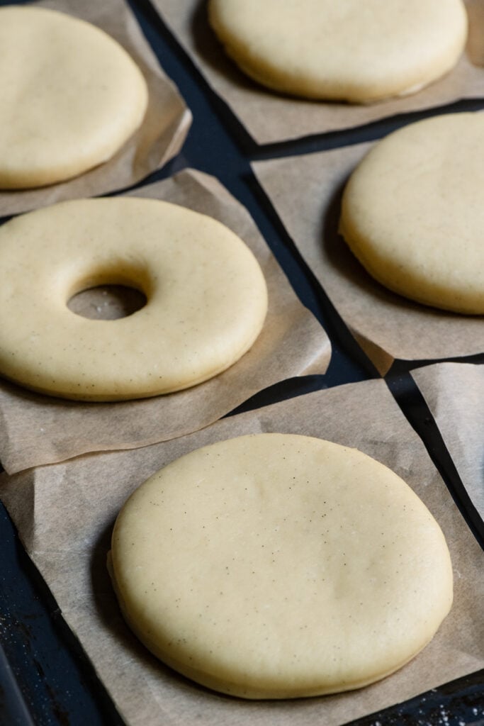 Brioche donut dough cut out into circles on parchment paper.
